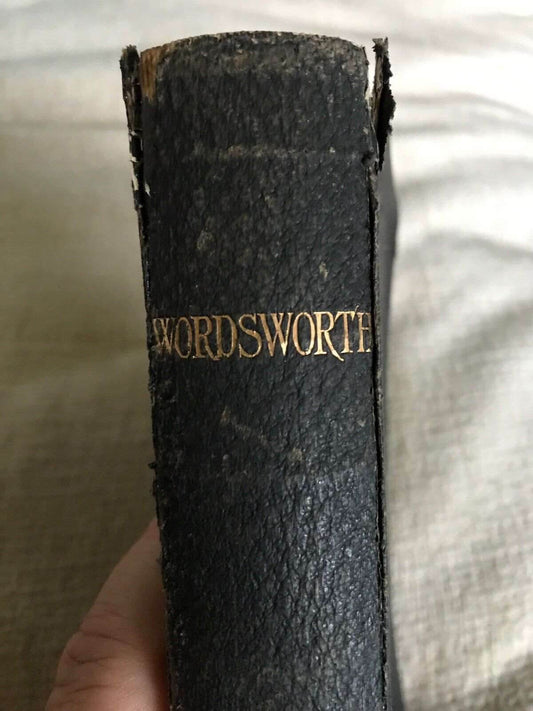 1899 The Poetical Works Of William Wordsworth - Edited By William Rossetti (Ward - Honeyburn Books (UK)