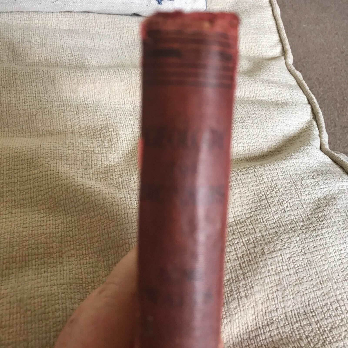 1900 Geology For Beginners - W. W. Watts (MacMillan) 322 Illustration - Honeyburn Books (UK)