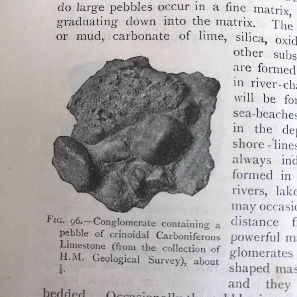 1900 Geology For Beginners - W. W. Watts (MacMillan) 322 Illustration - Honeyburn Books (UK)
