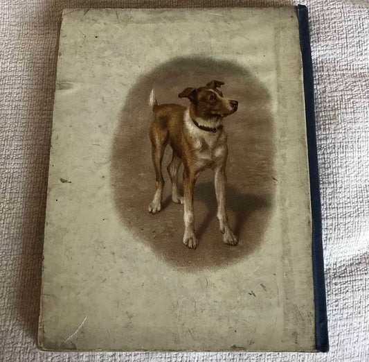 1903*1st* Uncle Charlies Short Stories About Animals - Gertrude Sellon(Harrison) - Honeyburn Books (UK)