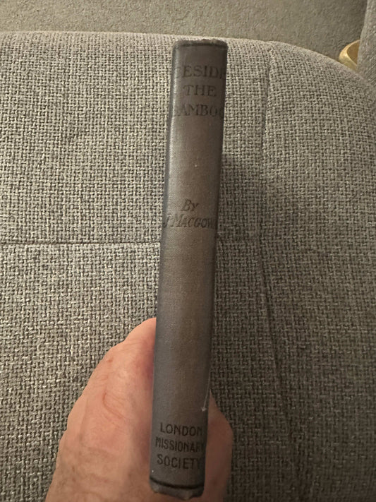 1914 Beside the Bamboo John MacGowan antiquarian book with gray cover and embossed title