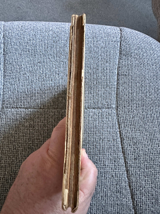 1917 Happy Go Lucky Bubble Book for sale showing the spine and pages held in hand