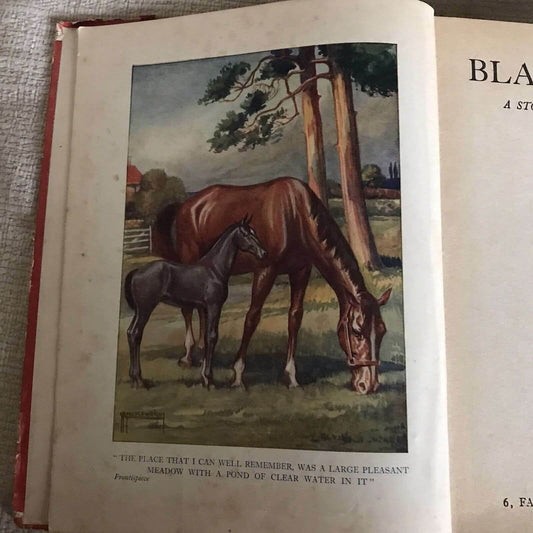 1933 Black Beauty - Anna Sewell (G. P. Micklewright) Coker & Co Ltd - Honeyburn Books (UK)