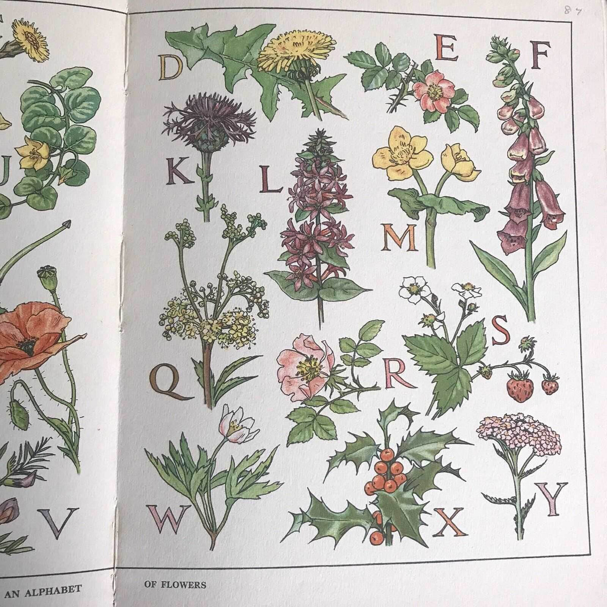 1933 Blackie’s Children’s Annual(Cicely Mary Barker, HM Brock, Harry Rountree Et - Honeyburn Books (UK)