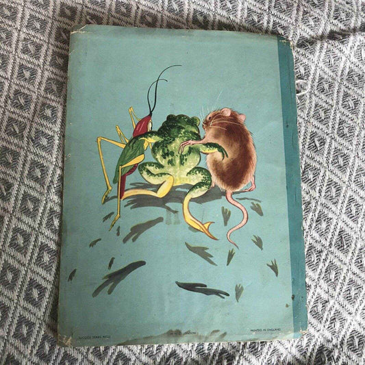 1945 Goggle The Frog Book by Mary B. Brooks - W. H. Cornelius Publisher - Honeyburn Books (UK)