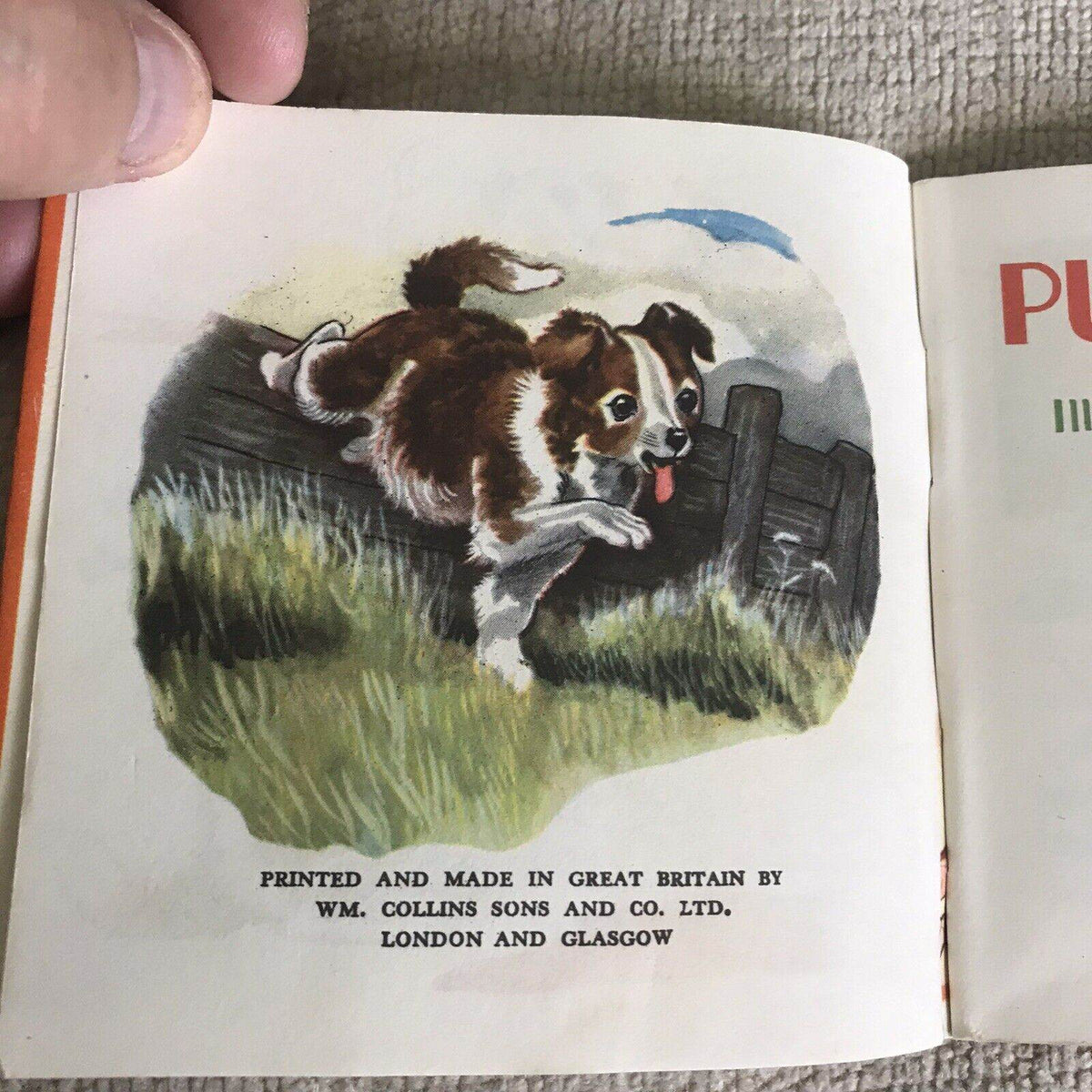 1948 Puppy Tales With Dust Jacket (Pixie Book) G. W. Backhouse (Collins) - Honeyburn Books (UK)