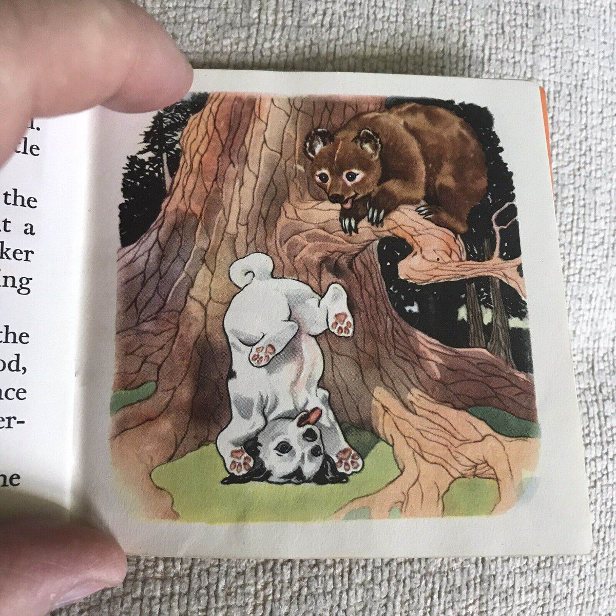 1948 Puppy Tales With Dust Jacket (Pixie Book) G. W. Backhouse (Collins) - Honeyburn Books (UK)