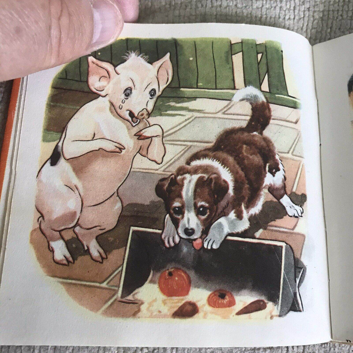 1948 Puppy Tales With Dust Jacket (Pixie Book) G. W. Backhouse (Collins) - Honeyburn Books (UK)
