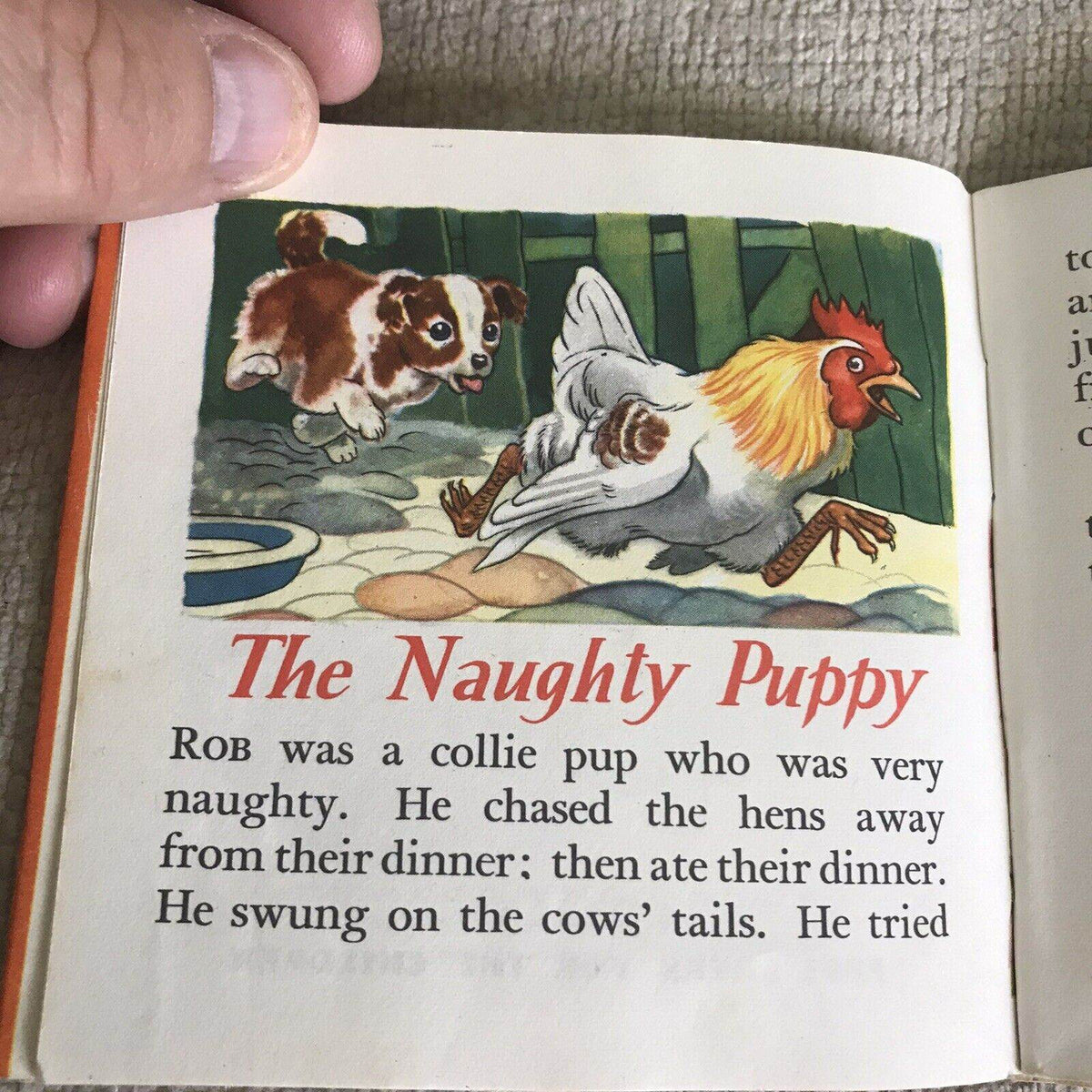 1948 Puppy Tales With Dust Jacket (Pixie Book) G. W. Backhouse (Collins) - Honeyburn Books (UK)