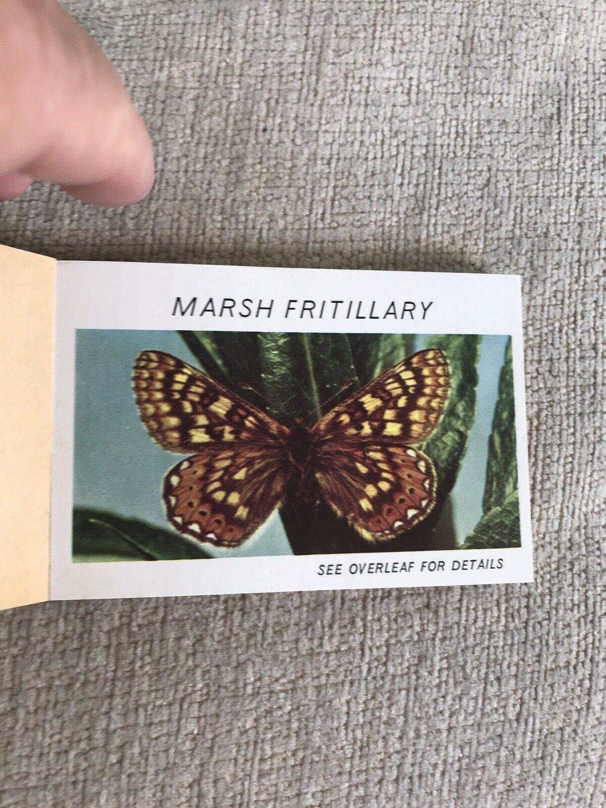 1950’s Butterflies Part 3 (Lyons Pocket Library)Maxwell Knight OBE - Honeyburn Books (UK)