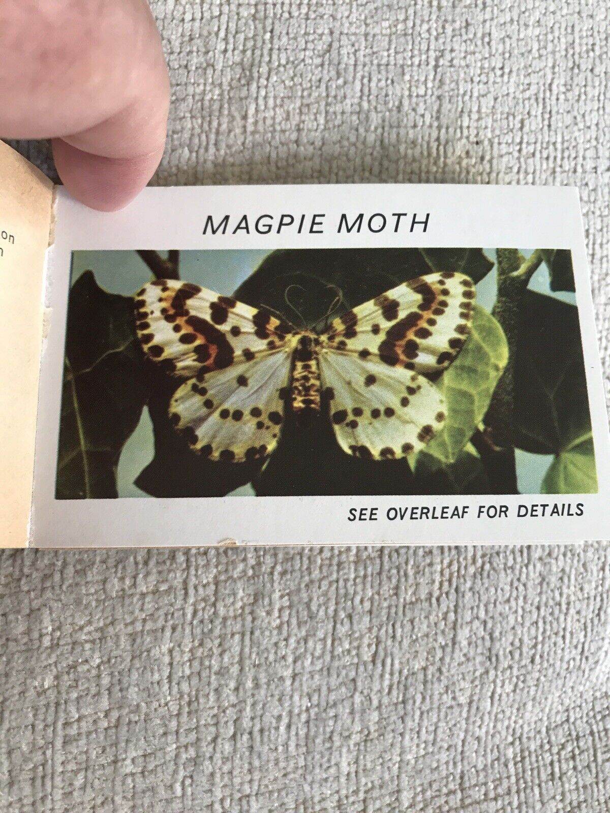 1950’s Butterflies Part 3 (Lyons Pocket Library)Maxwell Knight OBE - Honeyburn Books (UK)
