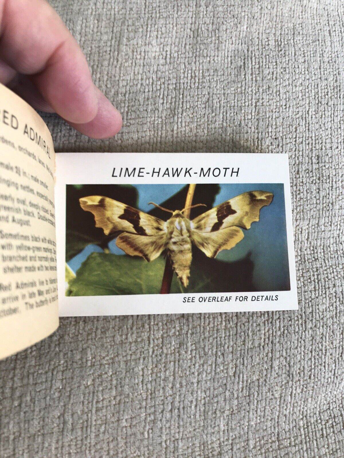 1950’s Butterflies Part 3 (Lyons Pocket Library)Maxwell Knight OBE - Honeyburn Books (UK)