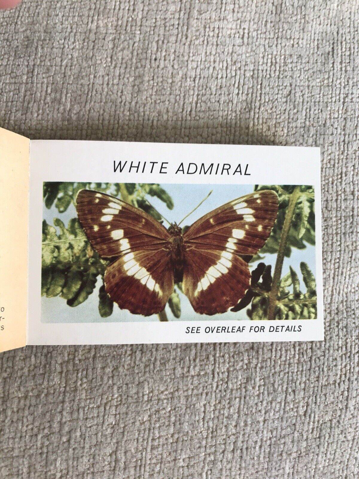 1950’s Butterflies Part 3 (Lyons Pocket Library)Maxwell Knight OBE - Honeyburn Books (UK)