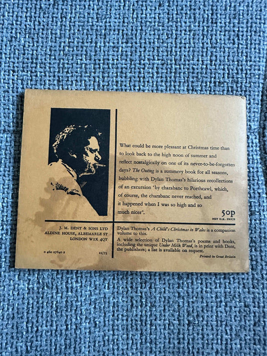 1975 The Outing Meg Stevens illustrated edition cover featuring vintage design and author information