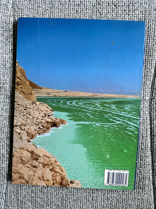 Back cover of the 1992 Israel travel book featuring a scenic view of the Dead Sea shoreline