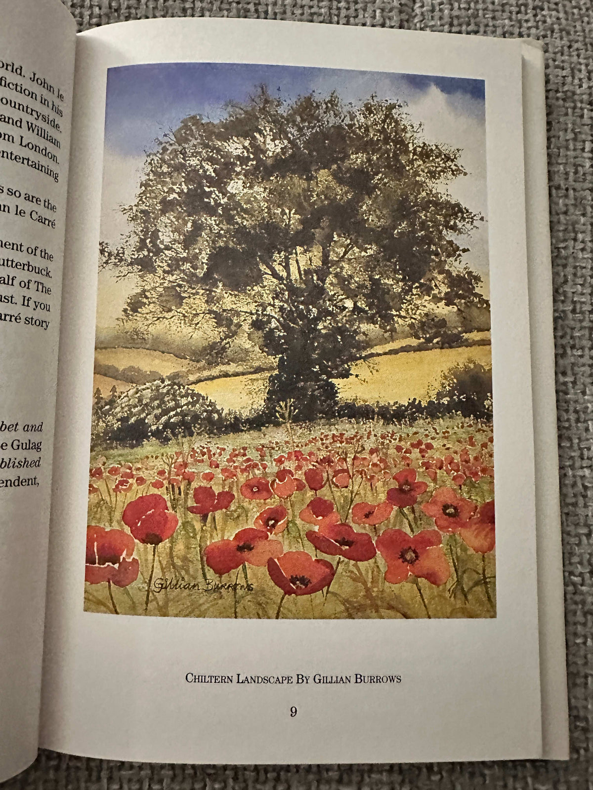 1999 Sarratt and the Draper of Watford rare book featuring an illustration of poppy fields and a large tree