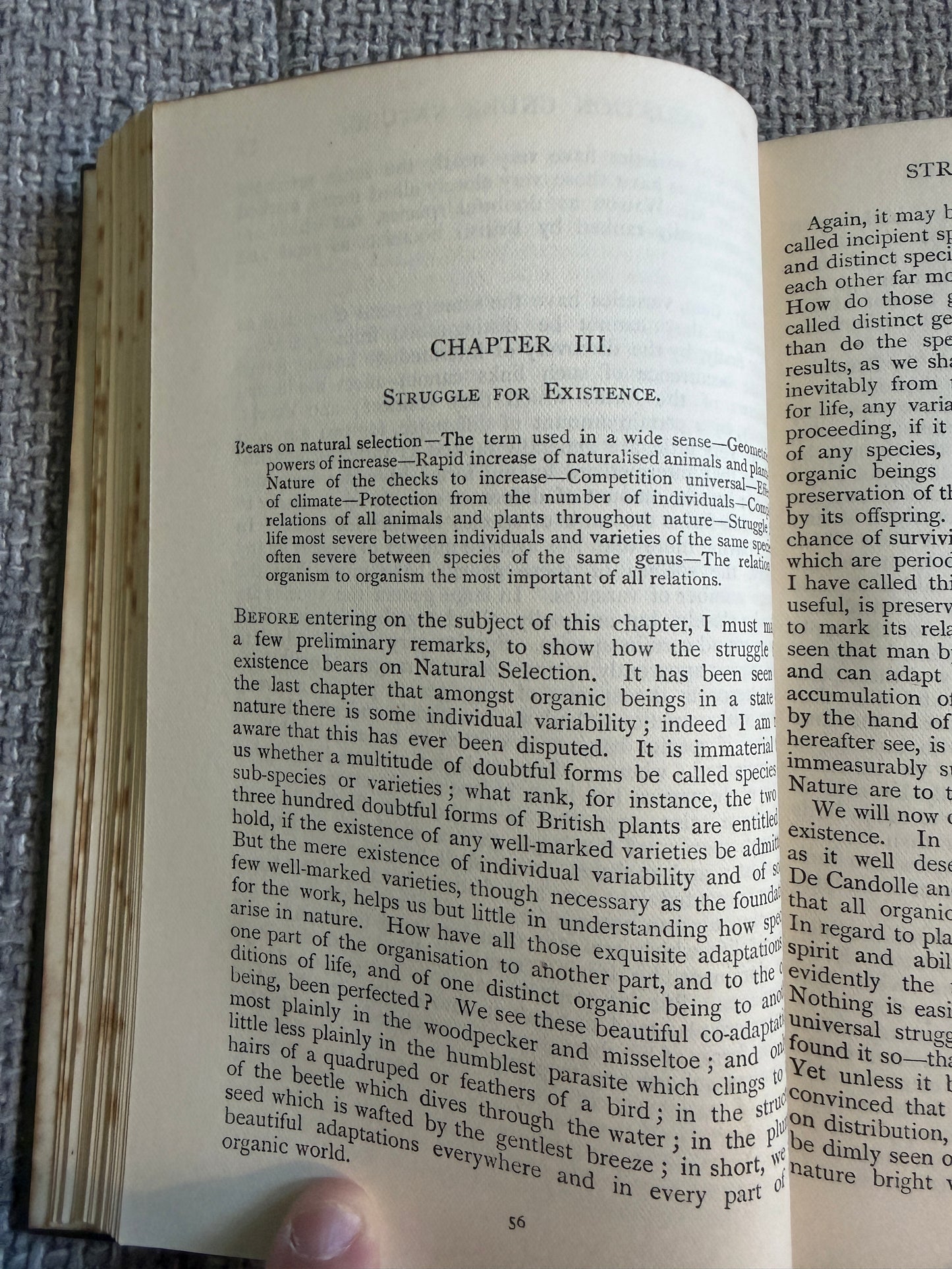 1911 On The Origin Of The Species - Charles Darwin (Ward Lock & Co Ltd) The World Library