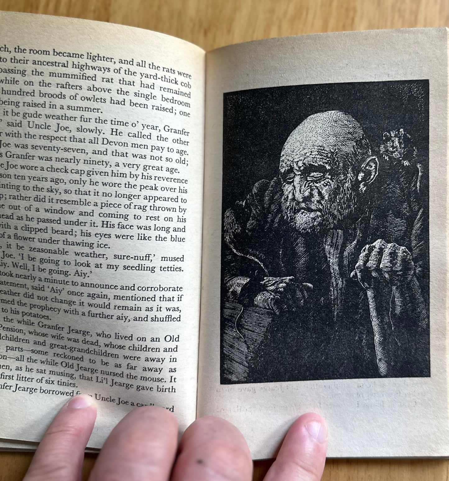 1976 The Creepy Crawly Book - Lucy Berman published by Target - Honeyburn Books (UK)