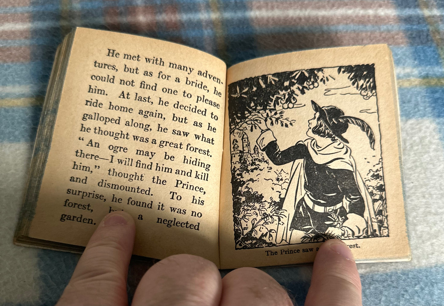 1940’s Sleeping Beauty(Birn Brothers)Miniature - Honeyburn Books (UK)