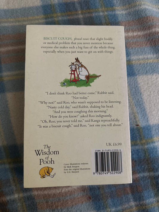 1997 The Pooh Dictionary - A.R. Melrose(Methuen) decorations Ernest Shepard - Honeyburn Books (UK)