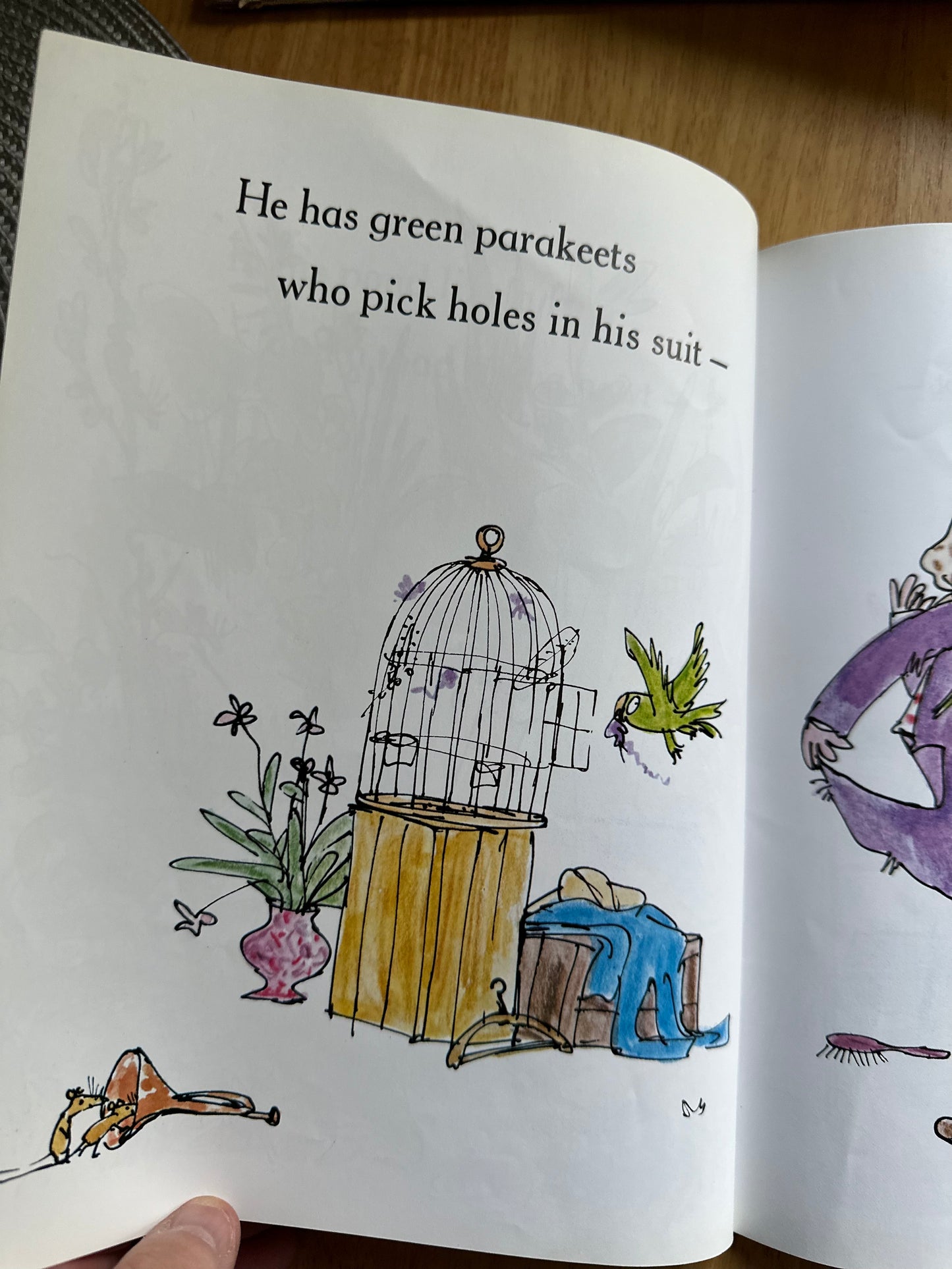 1999 Mister Magnolia - Quentin Blake(Red Fox Publisher) - Honeyburn Books (UK)