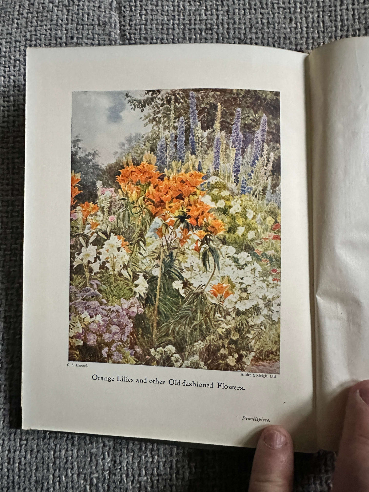 1906*1st* Old Fashioned Flowers & Other Open-Air Essays - Maurice Maeterlinck (Illust G. S. Elgood) George Allen Pub