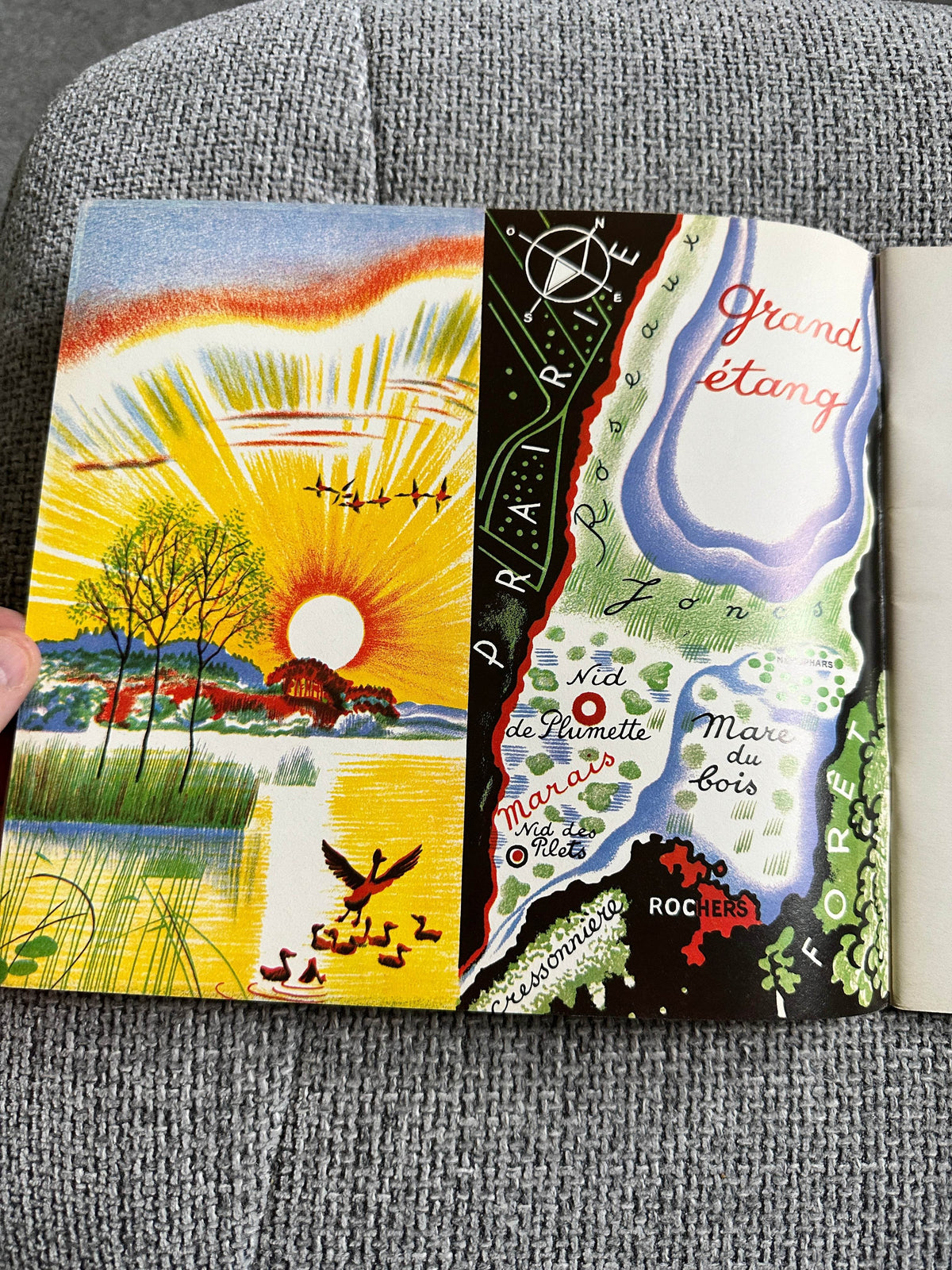 1970’s Plouf Canard Sauvage - Pére Castor (Flammarion Publisher) - Honeyburn Books (UK)