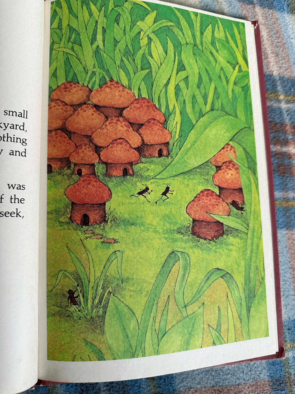 1975 Hucklebug - Stephen Cosgrove(Robin James Illustration)Grolier Enterprises - Honeyburn Books (UK)