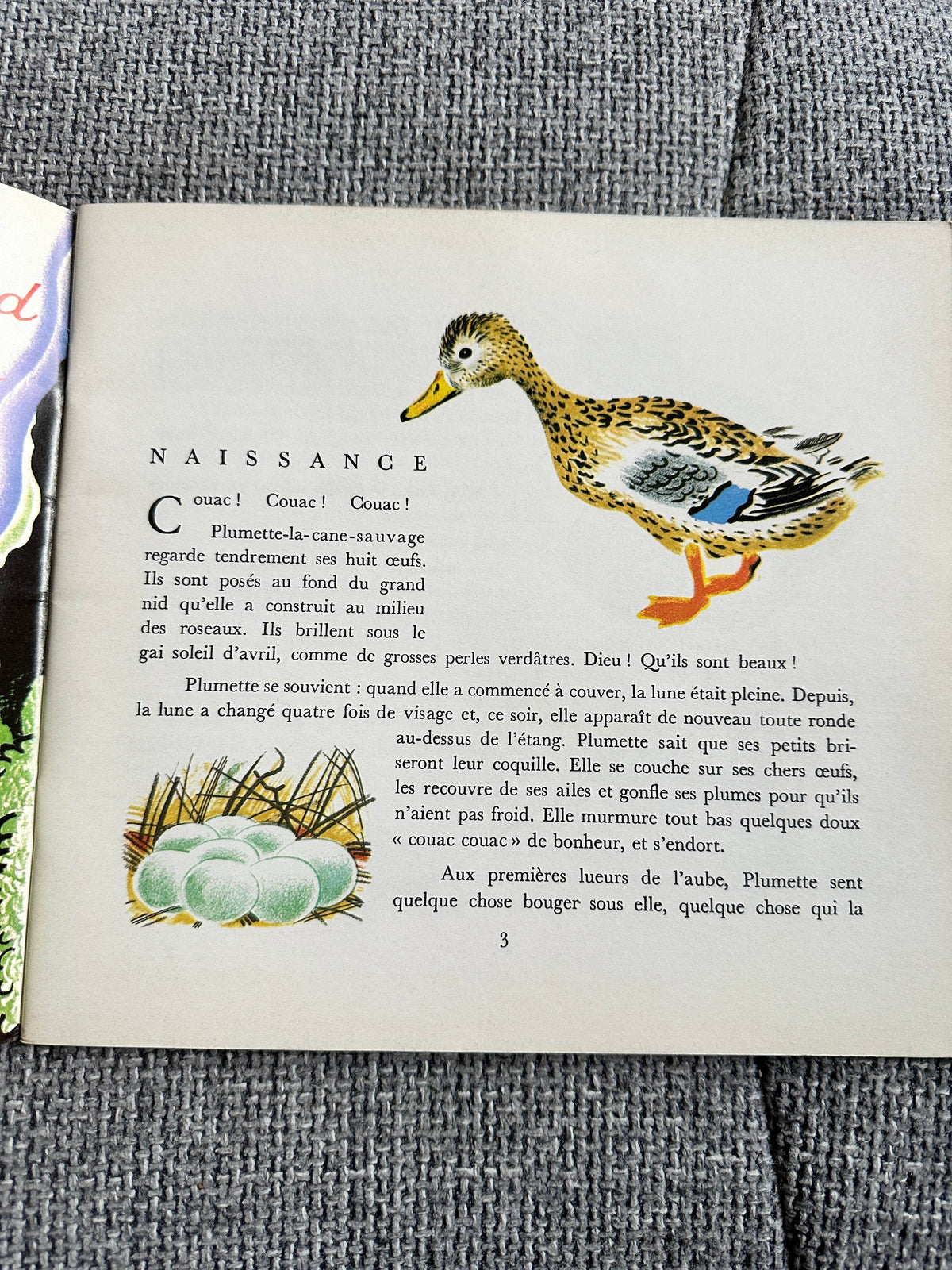 1970’s Plouf Canard Sauvage - Pére Castor (Flammarion Publisher) - Honeyburn Books (UK)