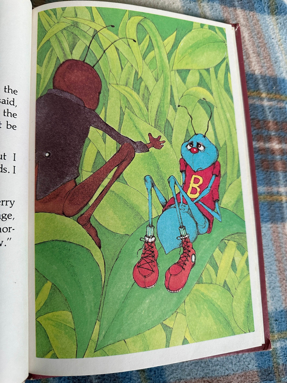 1975 Hucklebug - Stephen Cosgrove(Robin James Illustration)Grolier Enterprises - Honeyburn Books (UK)
