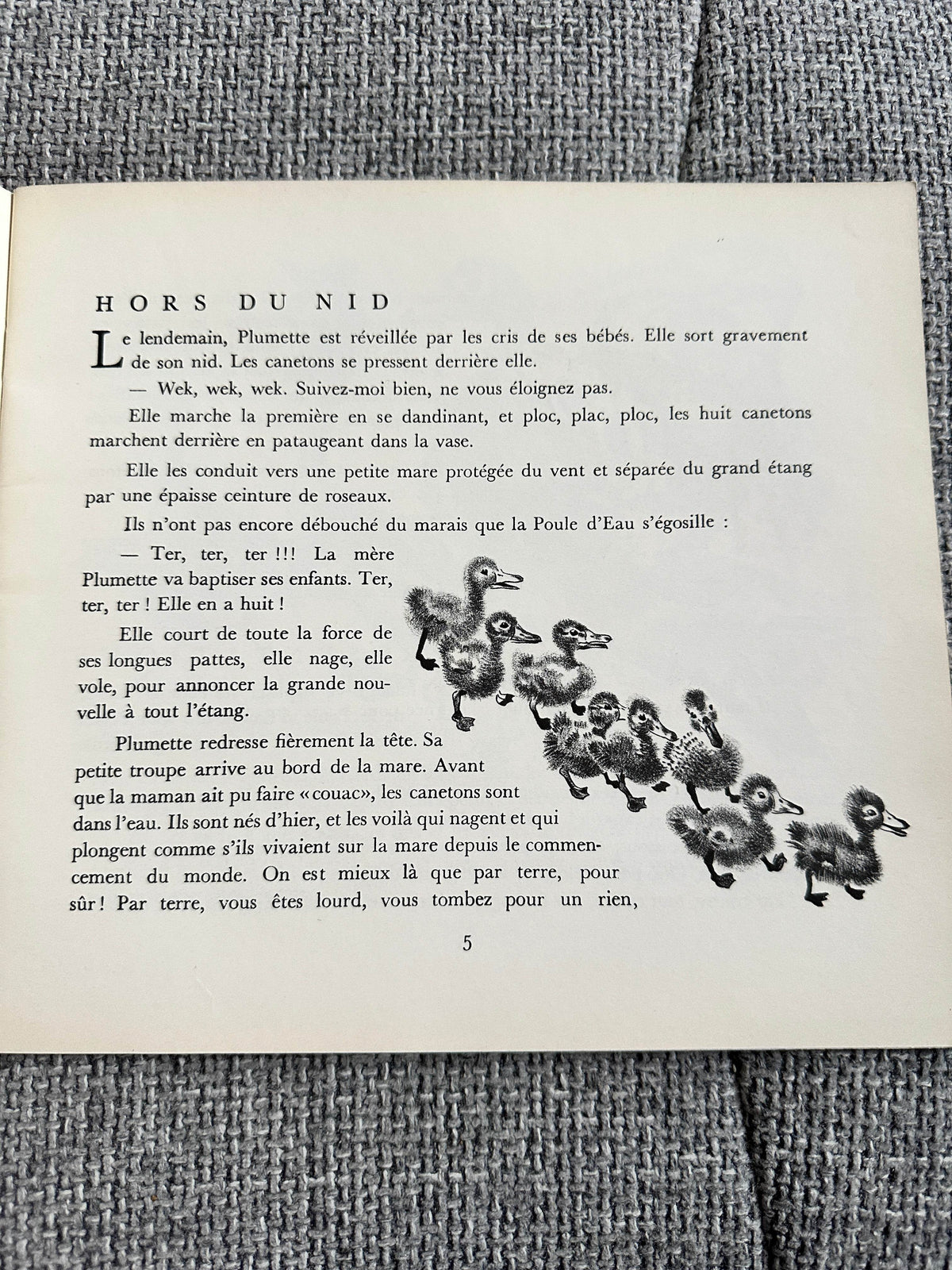 1970’s Plouf Canard Sauvage - Pére Castor (Flammarion Publisher) - Honeyburn Books (UK)