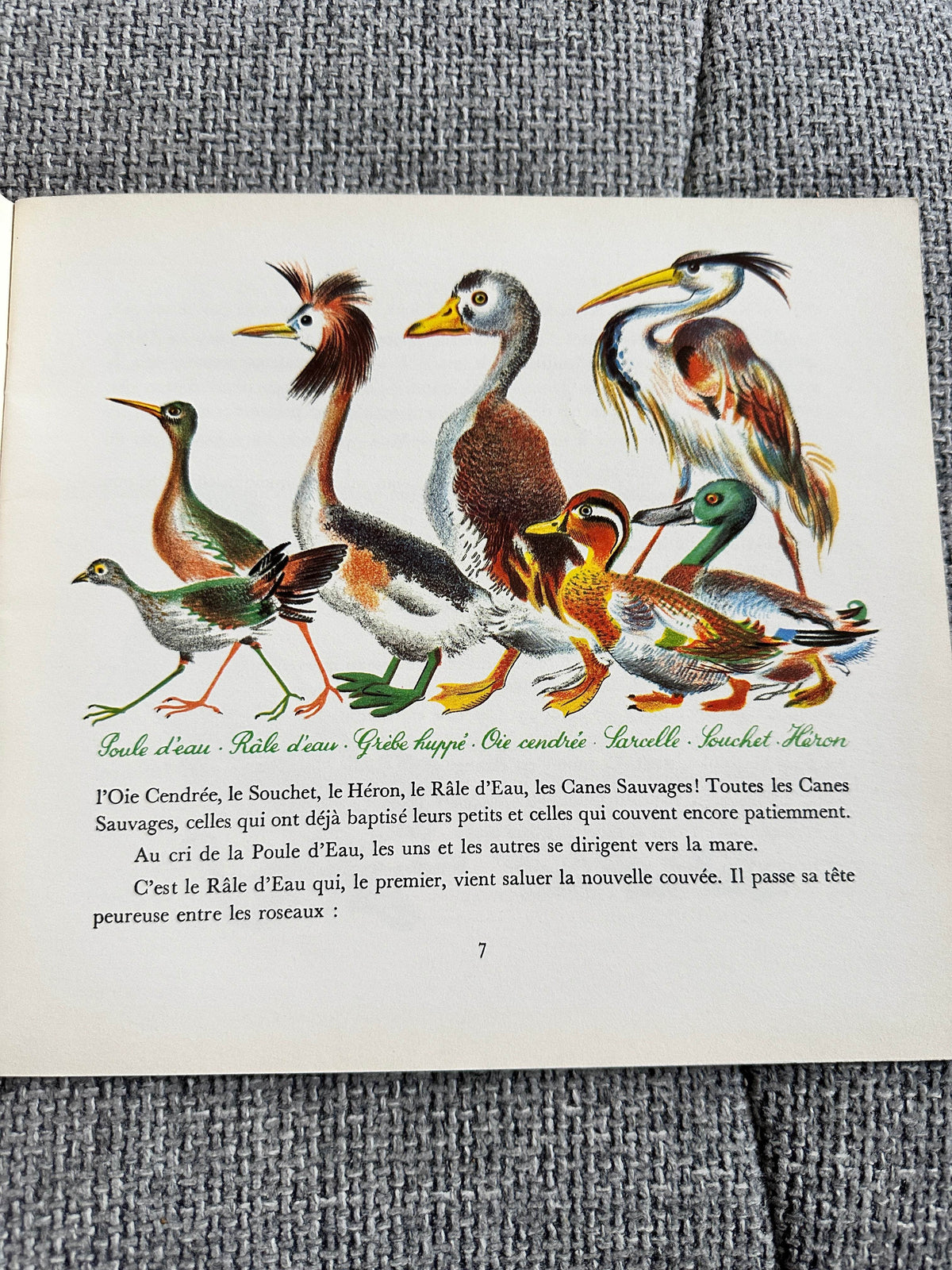 1970’s Plouf Canard Sauvage - Pére Castor (Flammarion Publisher) - Honeyburn Books (UK)