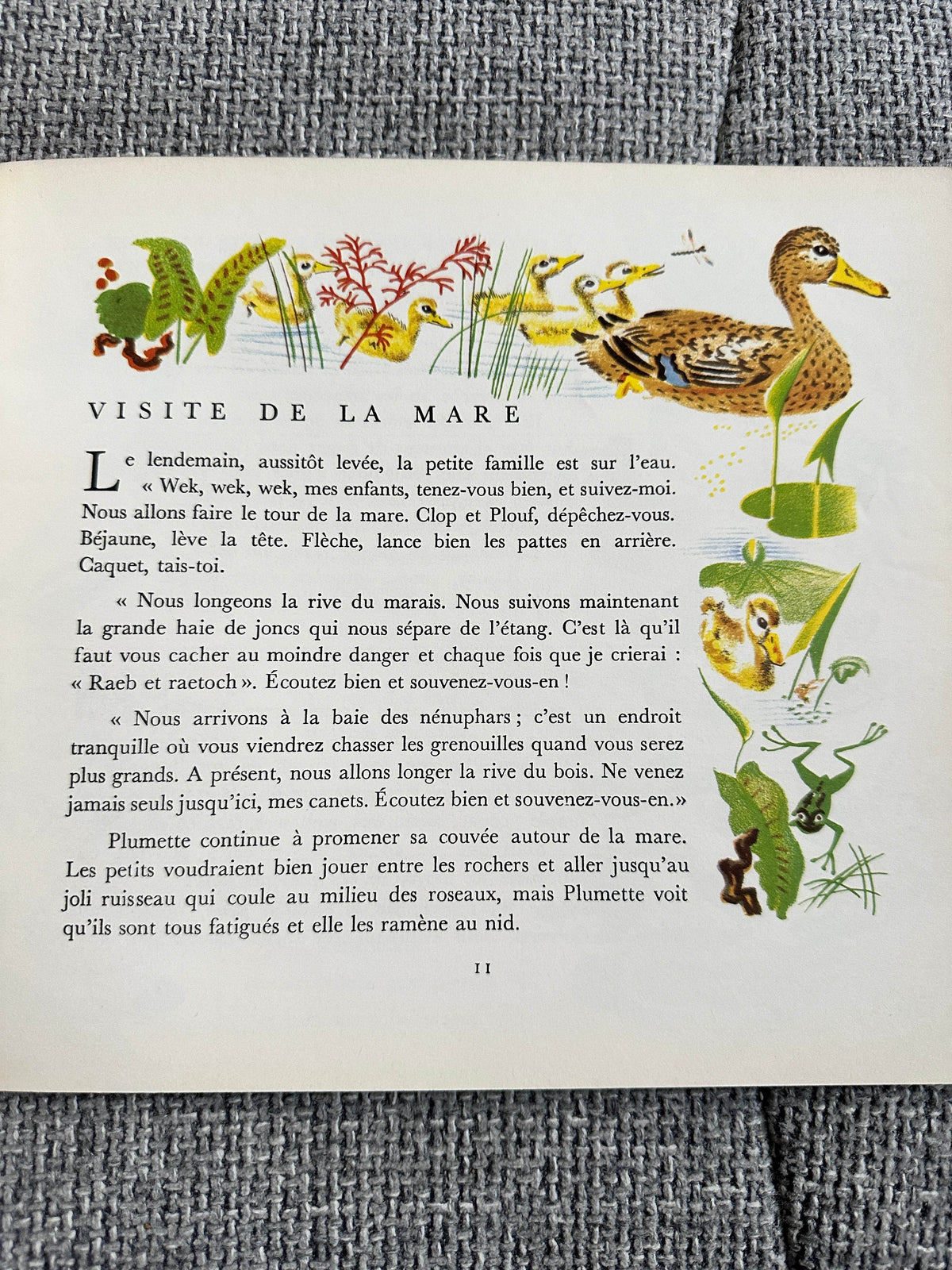 1970’s Plouf Canard Sauvage - Pére Castor (Flammarion Publisher) - Honeyburn Books (UK)