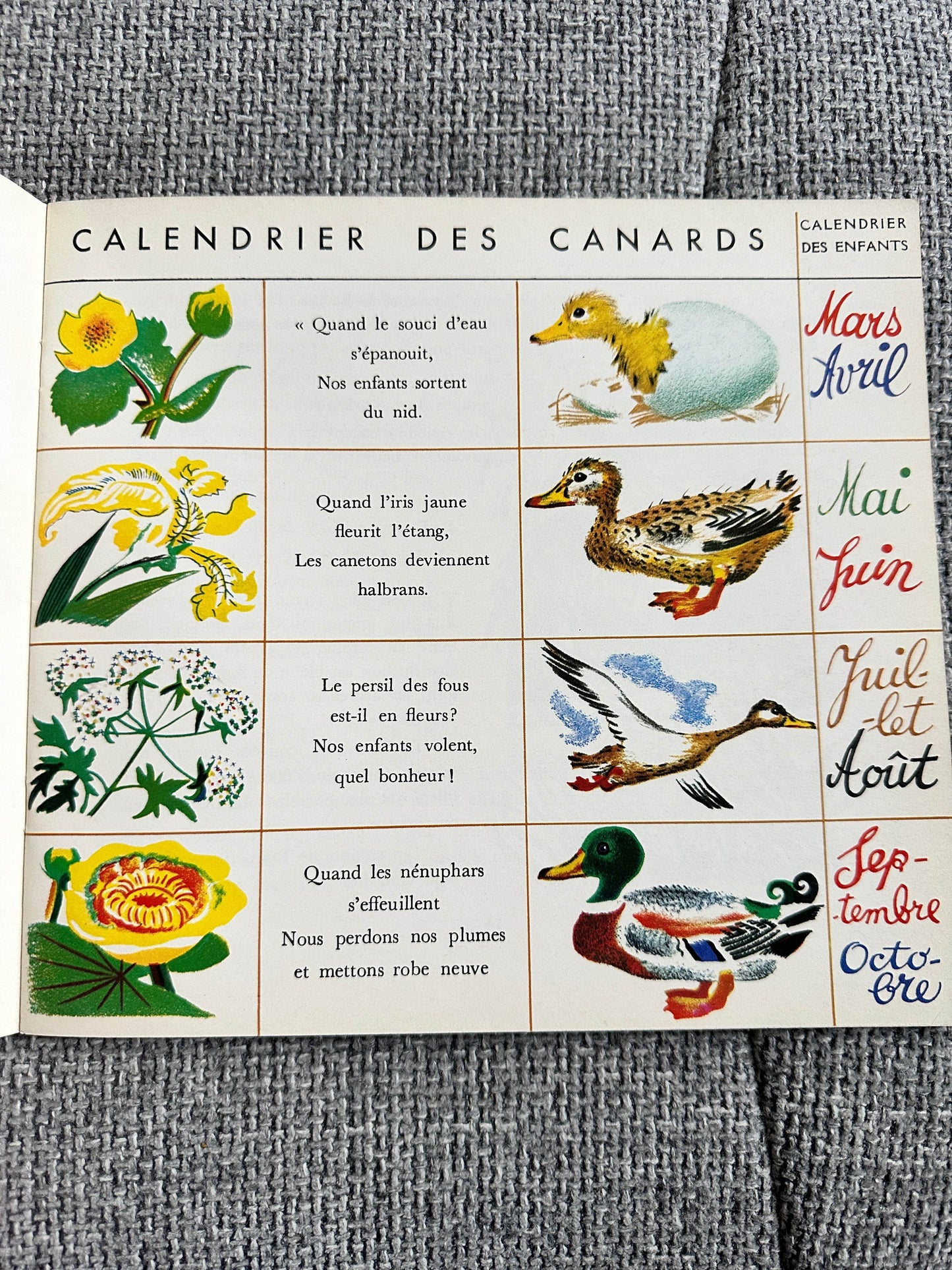 1970’s Plouf Canard Sauvage - Pére Castor (Flammarion Publisher) - Honeyburn Books (UK)