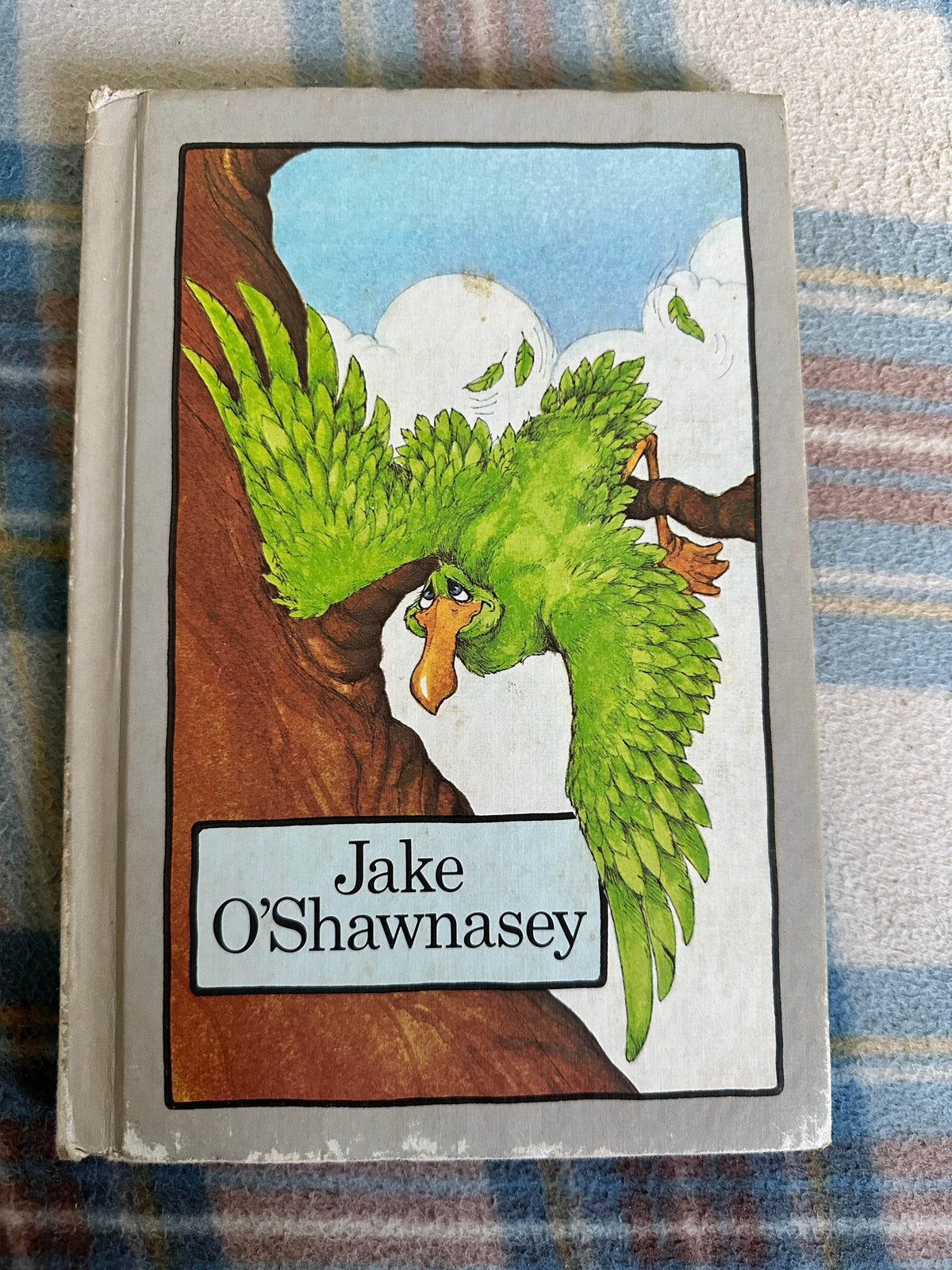 1975 Jake O’Shawnasey - Stephen Cosgrove(Robin James Illust) Groliers Enterprises - Honeyburn Books (UK)