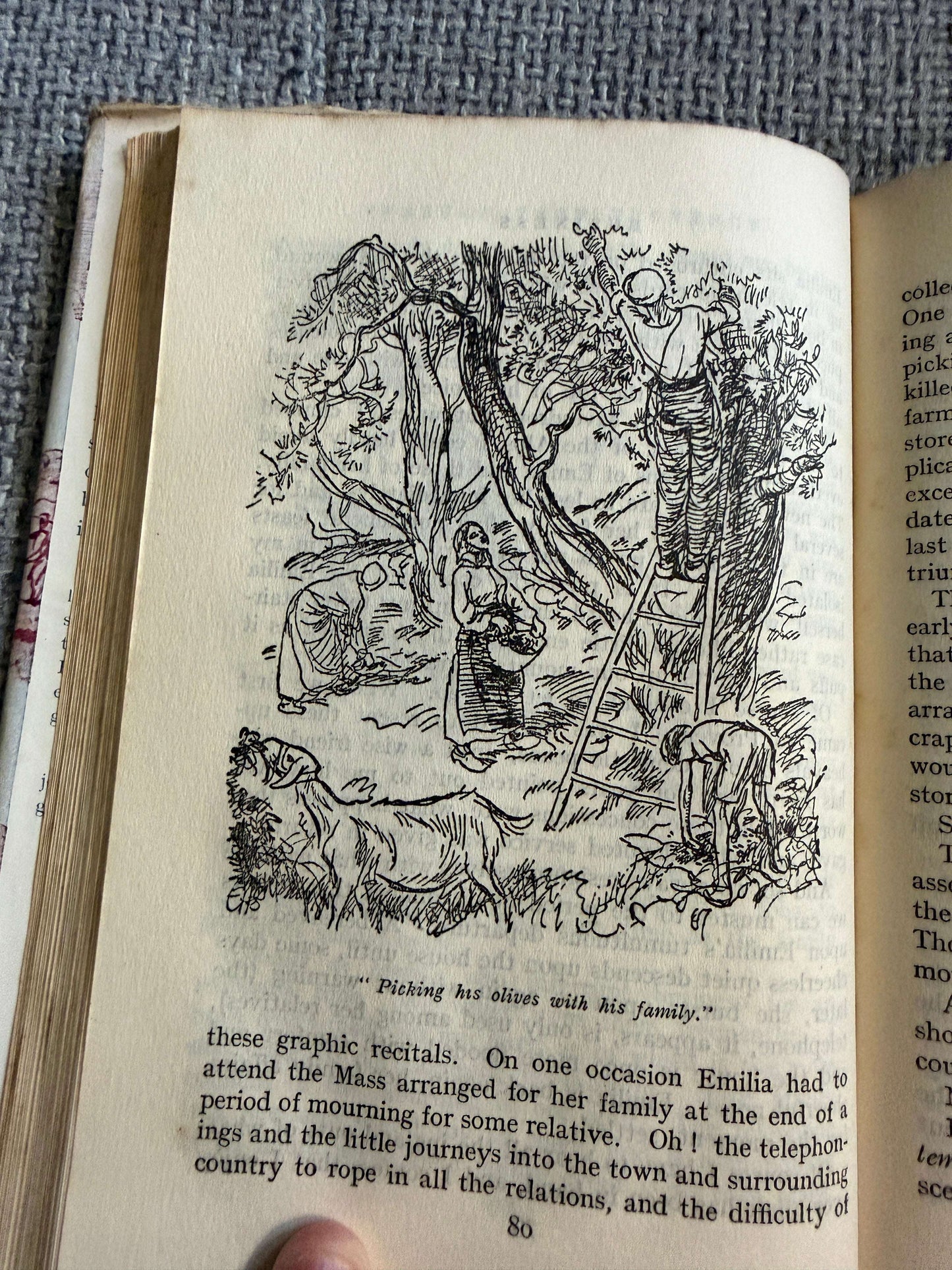 1946 Perfume From Provence - Winifred Fortescue (Book Club) E. H. Shepard illustrations - Honeyburn Books (UK)