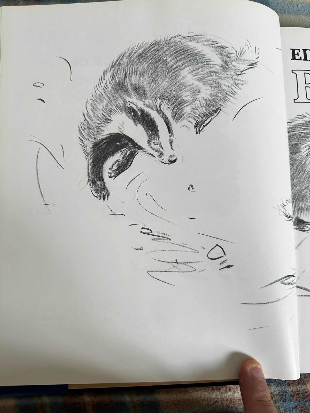 1992*1st* Eileen Soper’s Badgers - Intro by Duff Hart-Davis(BCA Publishers) - Honeyburn Books (UK)