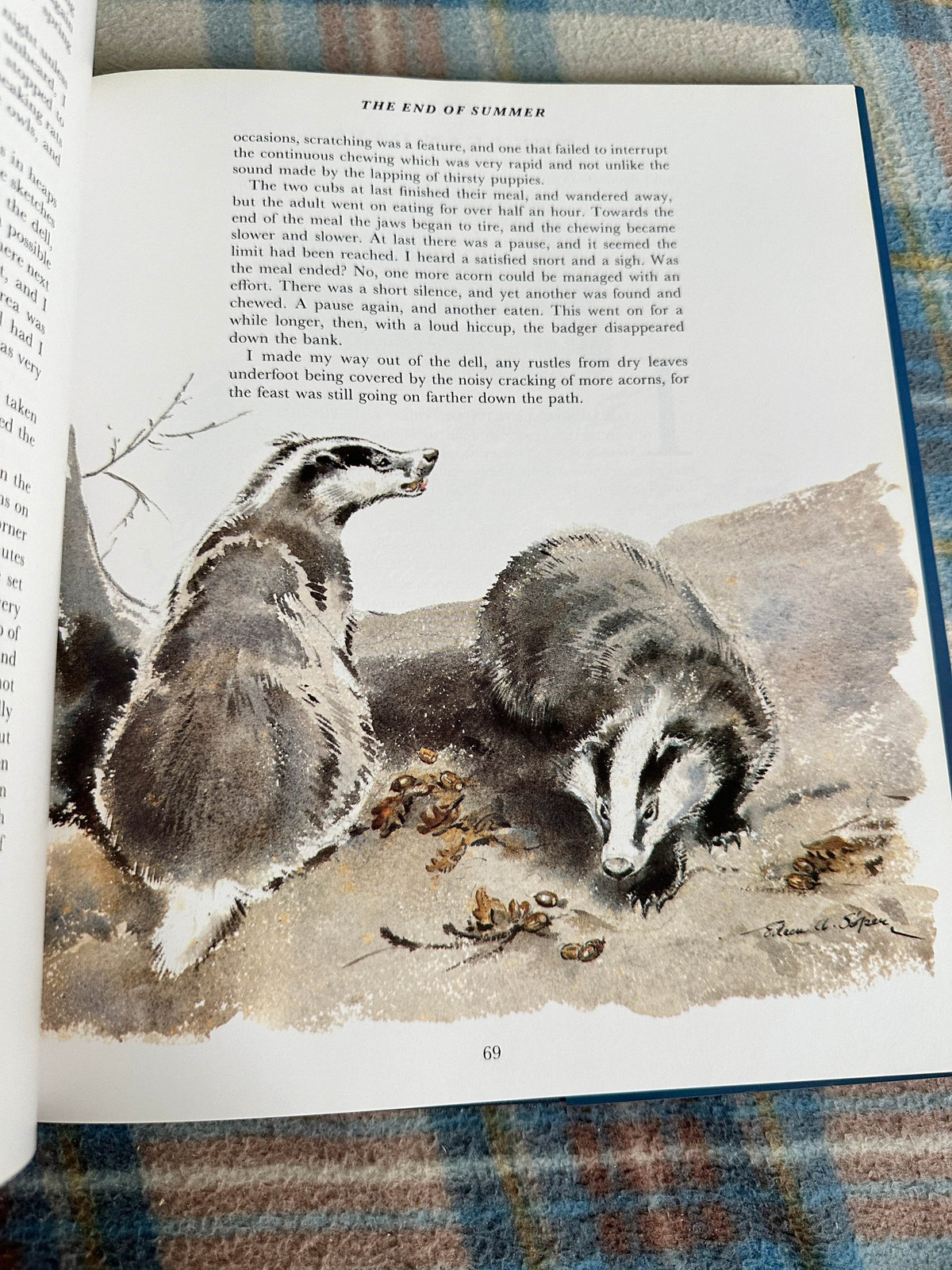 1992*1st* Eileen Soper’s Badgers - Intro by Duff Hart-Davis(BCA Publishers) - Honeyburn Books (UK)
