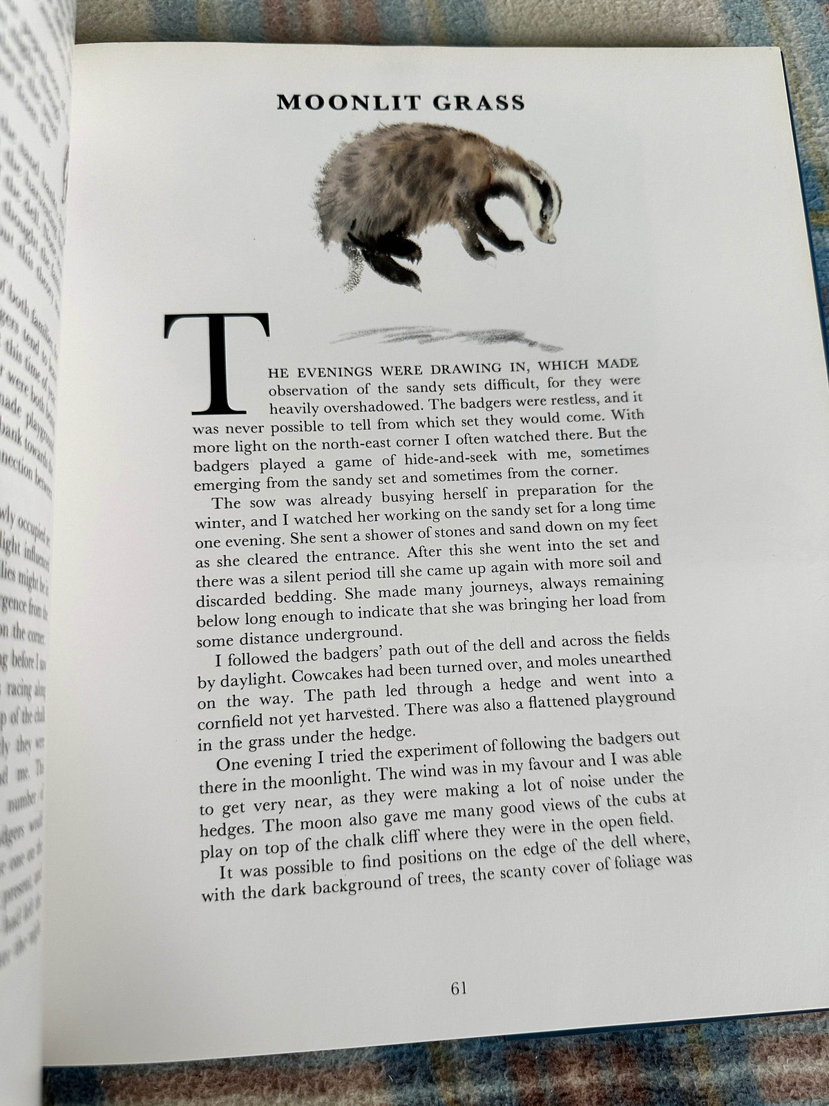 1992*1st* Eileen Soper’s Badgers - Intro by Duff Hart-Davis(BCA Publishers) - Honeyburn Books (UK)