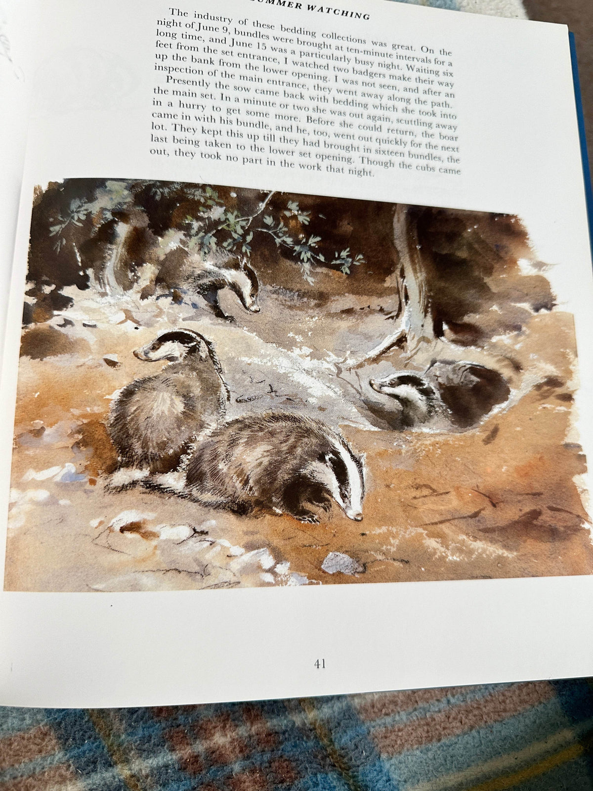 1992*1st* Eileen Soper’s Badgers - Intro by Duff Hart-Davis(BCA Publishers) - Honeyburn Books (UK)