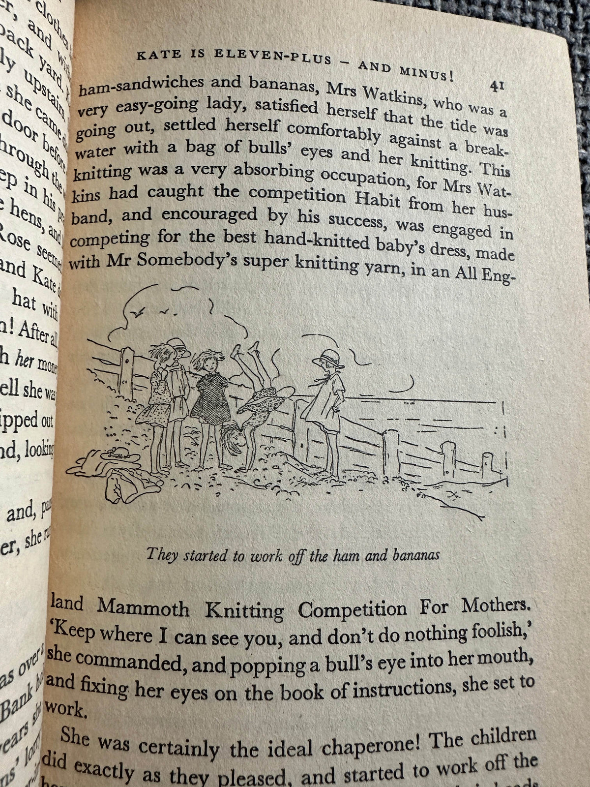 1964 The Family From One End Street - Eve Garnett (Author & Illustrator) Puffin Books - Honeyburn Books (UK)