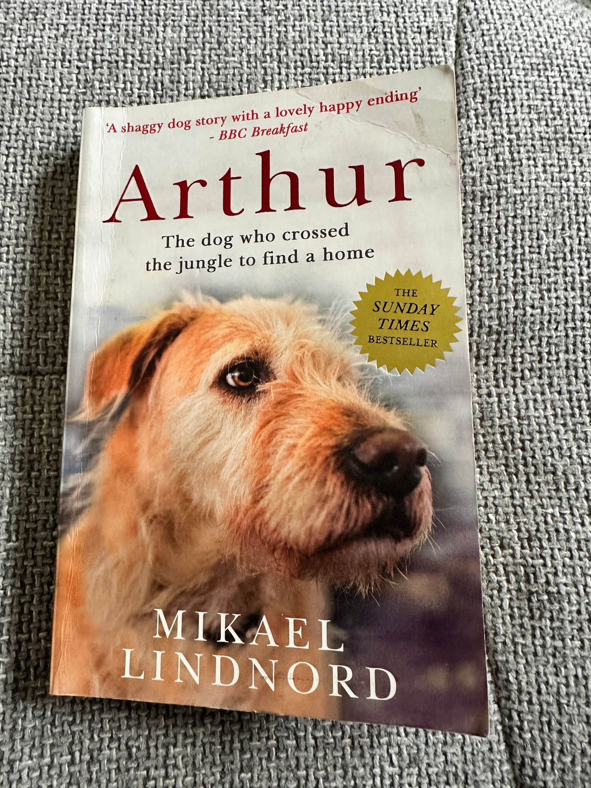 2016 Arthur - Mikael Lindnord(Two Roads Publisher) - Honeyburn Books (UK)