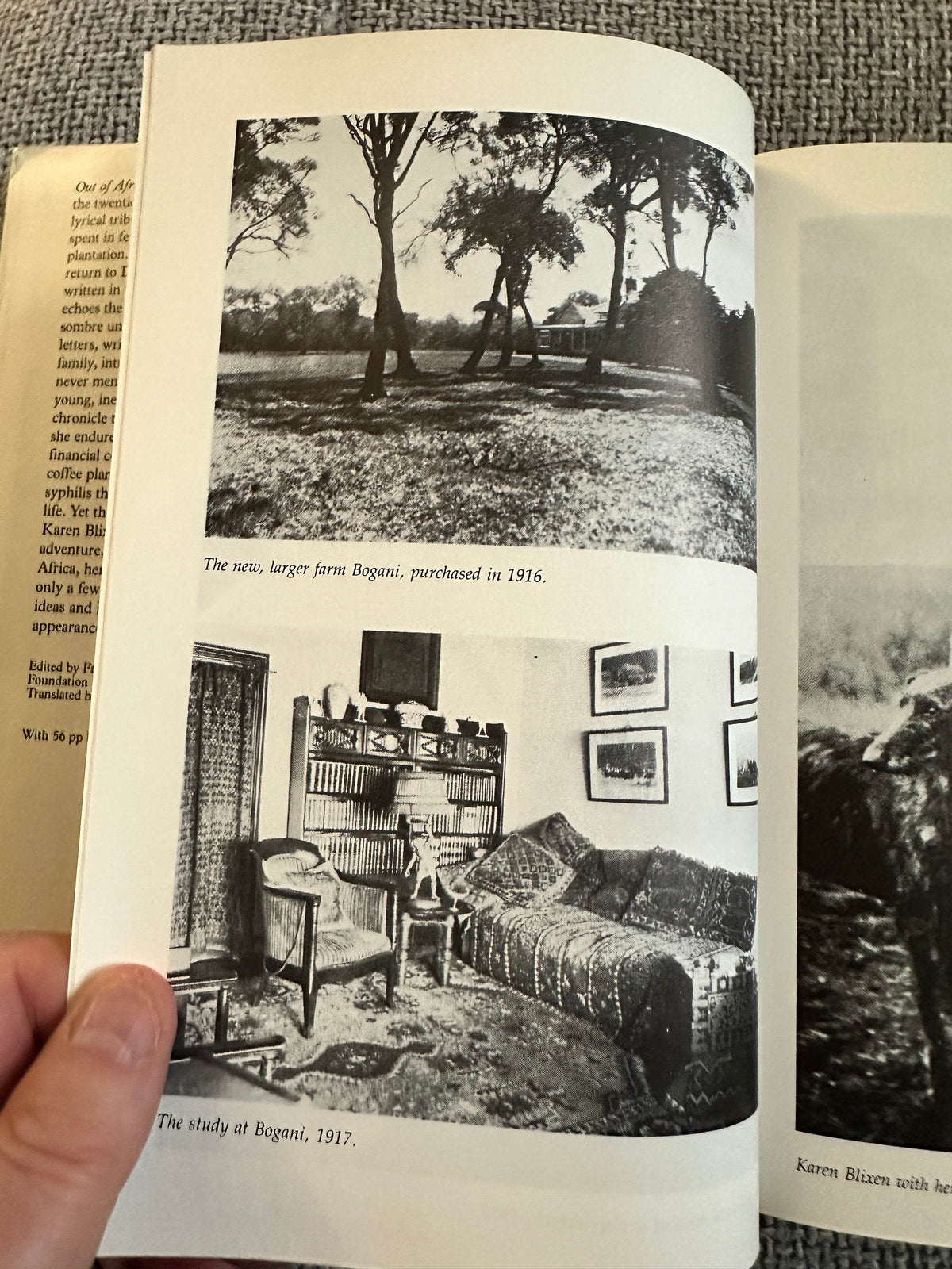 1981*1st* Letters From Africa 1914-1931 - Isak Dinesen (Weidenfeld and Nicolson) Ann Borg Translation - Honeyburn Books (UK)