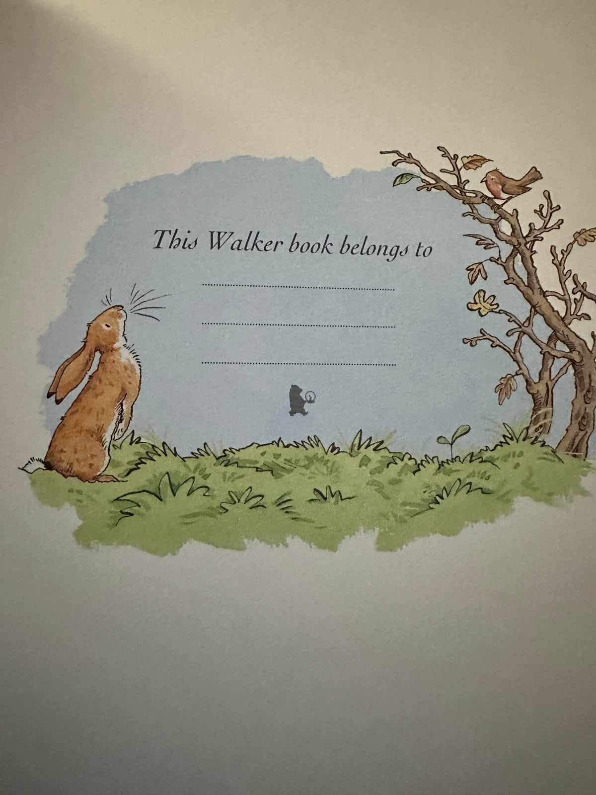 2007*1st* Guess How Much I Love You? All Year Round - Sam McBratney (Anita Jeram Illust) Walker Books - Honeyburn Books (UK)
