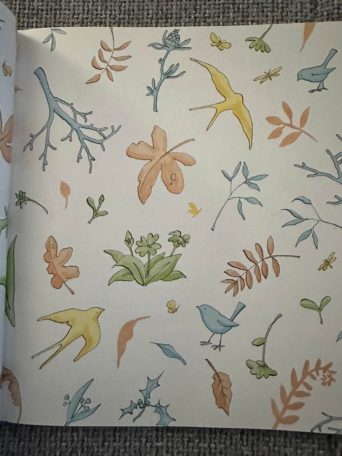 2007*1st* Guess How Much I Love You? All Year Round - Sam McBratney (Anita Jeram Illust) Walker Books - Honeyburn Books (UK)