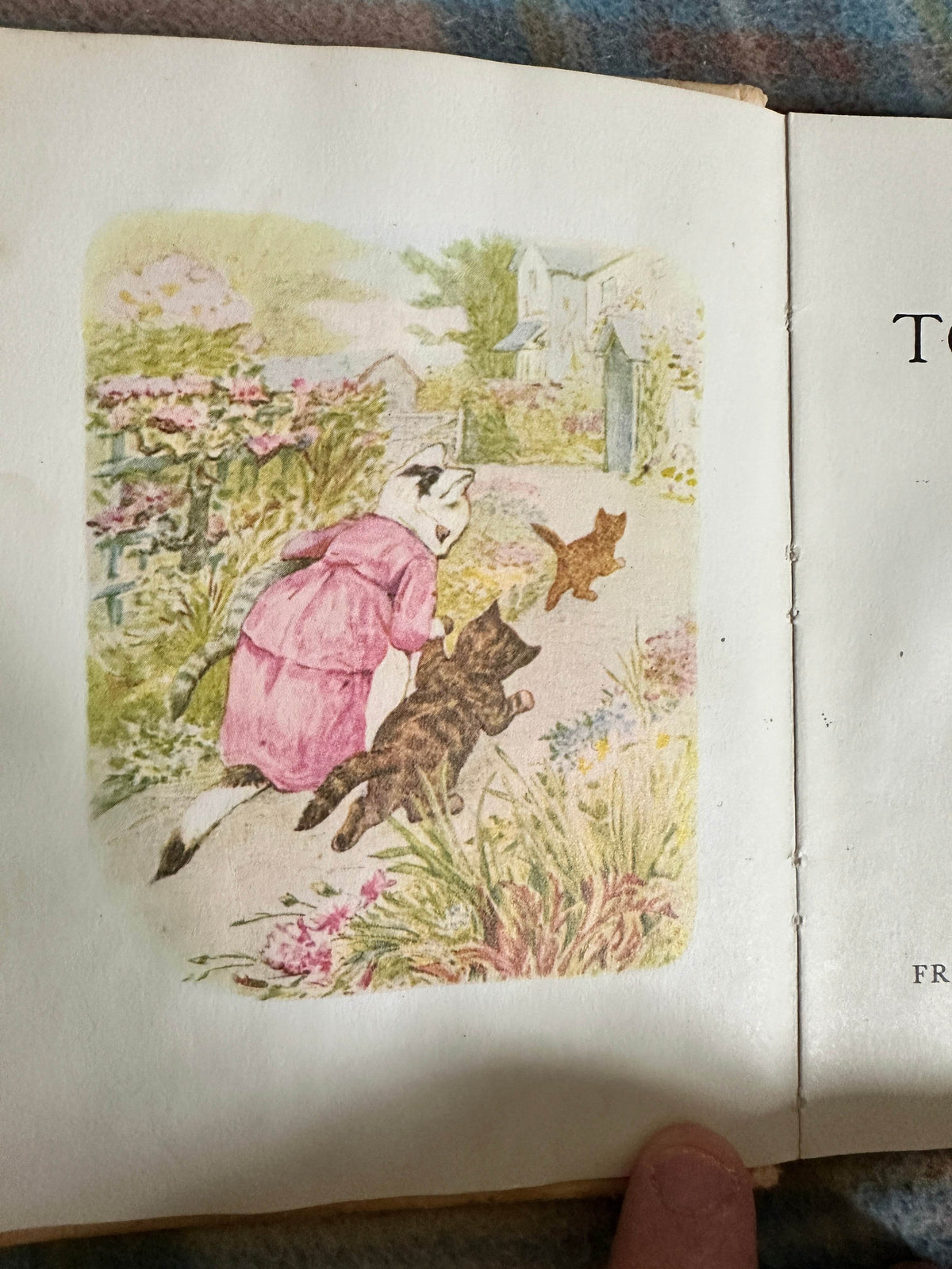 1987 The Tale Of Tom Kitten - Beatrix Potter(Frederick Warne & Co Ltd) - Honeyburn Books (UK)