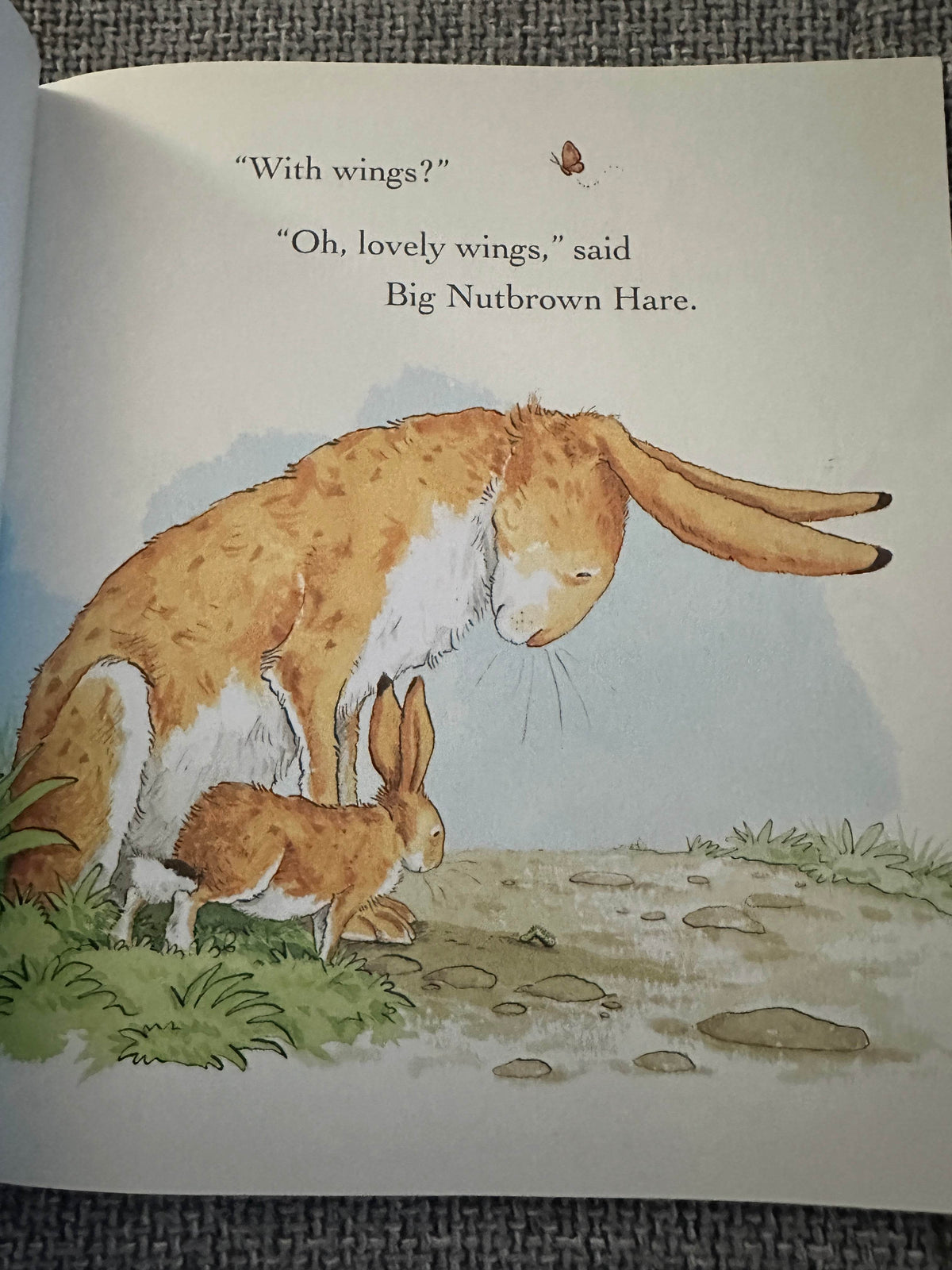 2007*1st* Guess How Much I Love You? All Year Round - Sam McBratney (Anita Jeram Illust) Walker Books - Honeyburn Books (UK)