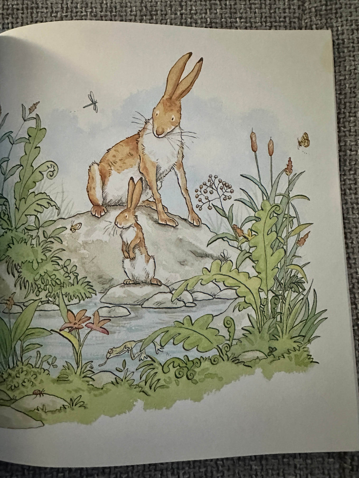2007*1st* Guess How Much I Love You? All Year Round - Sam McBratney (Anita Jeram Illust) Walker Books - Honeyburn Books (UK)
