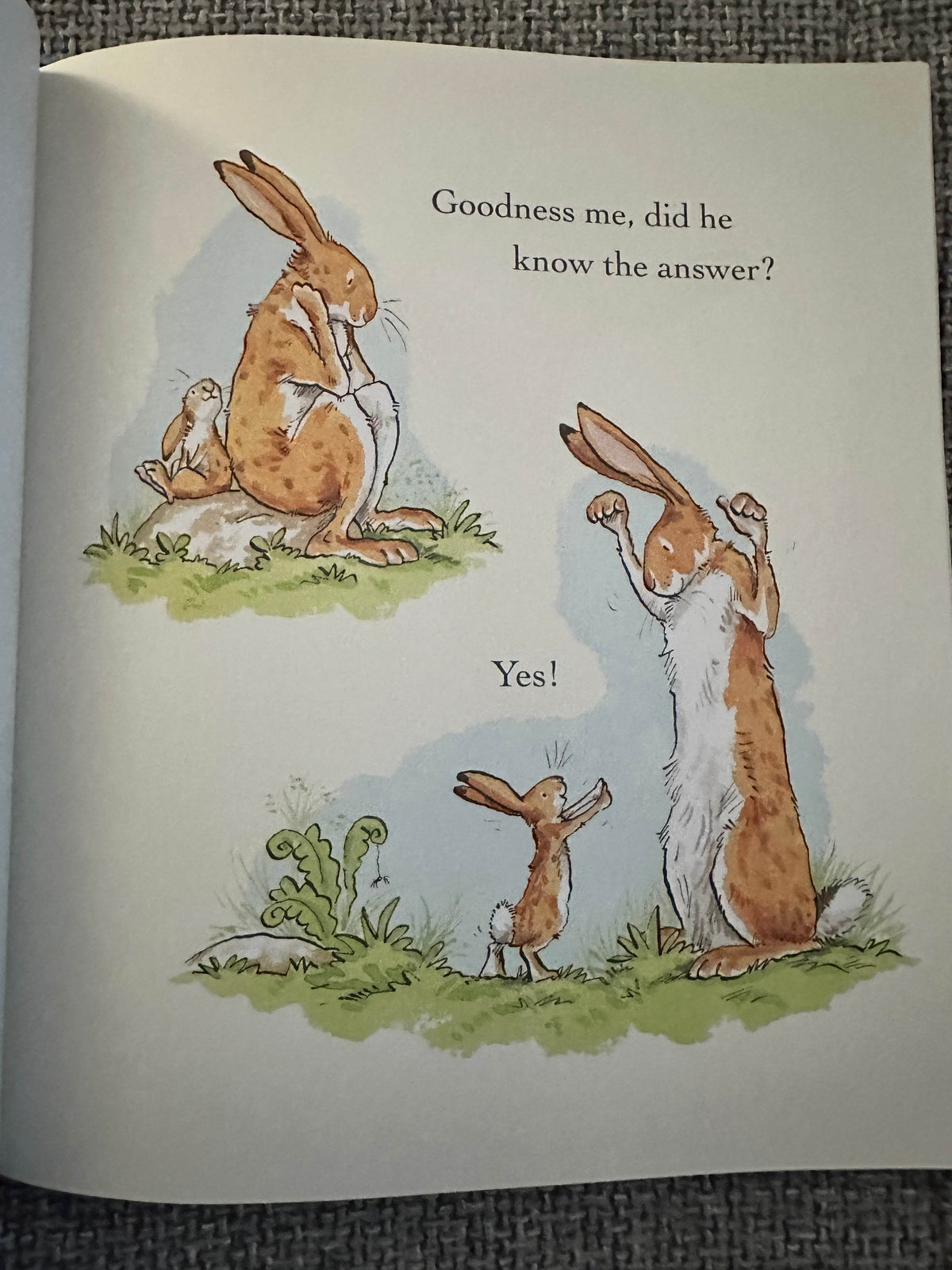 2007*1st* Guess How Much I Love You? All Year Round - Sam McBratney (Anita Jeram Illust) Walker Books - Honeyburn Books (UK)