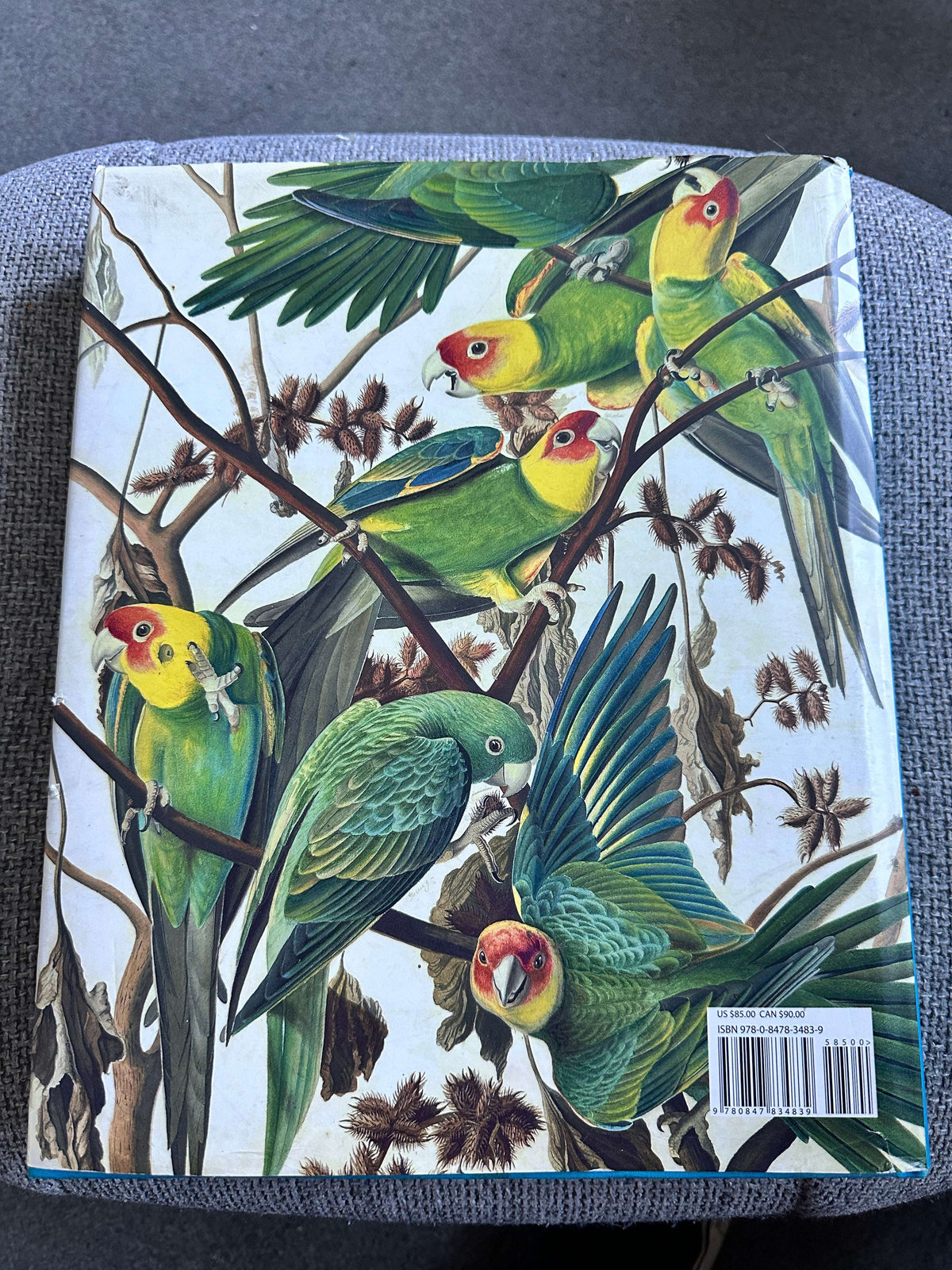 2012 Audubon’s Aviary The Original Watercolours For Birds Of America - Roberta J.M. Olson - Skira Rizzoli / New York Historical Society, New York. 33.5cm x 27cm 3kilo, 448pages